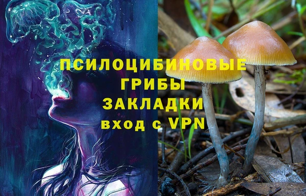 прущие грибы Алексин