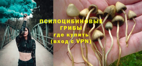 a pvp Алзамай